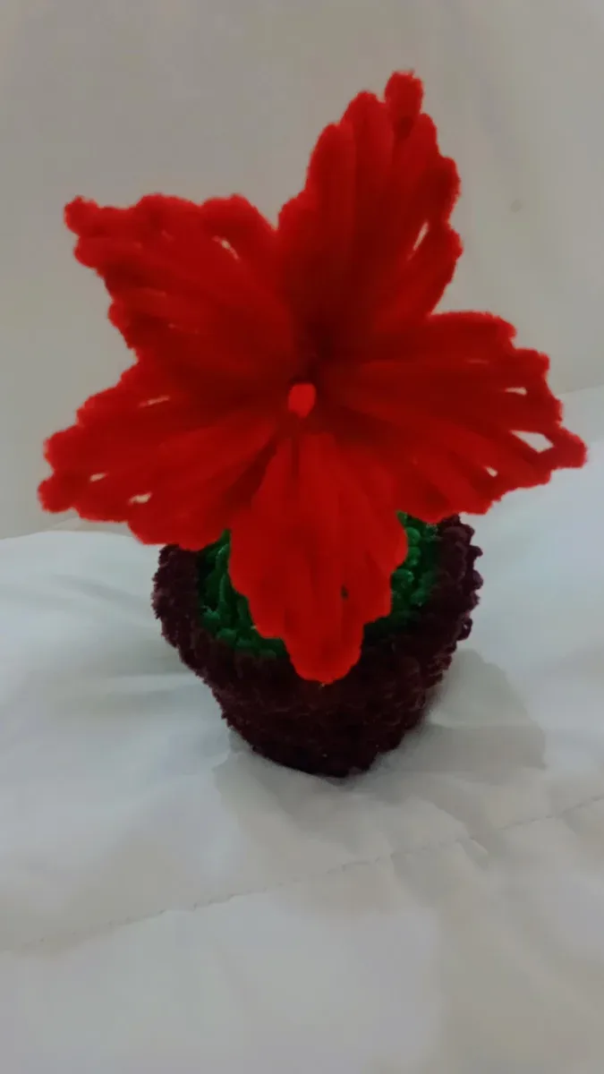 Flores eternas